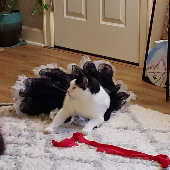 Meet your Posher, Glory✨Posh Ambassador - Picture 9 of 16